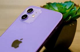 Image result for iPhone 12 Purple Price in India