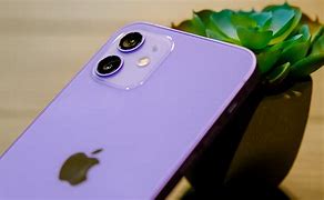 Image result for Purple Apple Phone Kings