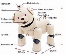 Image result for Aibo 31X