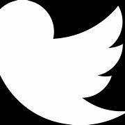 Image result for Twitter Bird Logo.png
