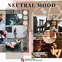 Image result for Neutral Color Palette