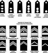 Image result for Major General Insignia