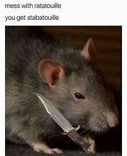 Image result for Rat Dog Meme