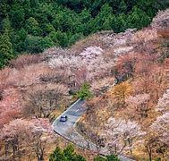 Image result for Rural Landscape in Japan