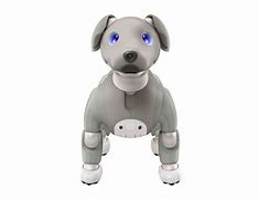 Image result for Buy Aibo