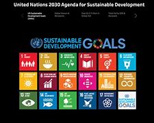Image result for United Nations Agenda 2030 Map