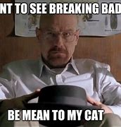 Image result for Cat Breaking Bad Meme