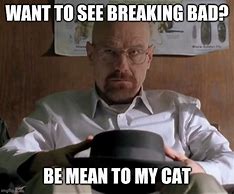 Image result for Cat Breaking Bad Meme