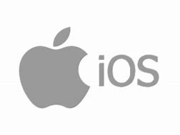 Image result for iOS 3.0