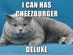 Image result for Can Has Cheezburger