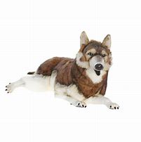 Image result for Timberwolf Plush Toy