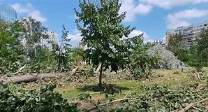 Image result for Storm in Serbia