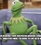 Image result for Kermit Couch Meme