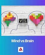 Image result for Mind Vs. Brain Philosophy
