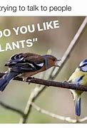 Image result for Also Plants Meme