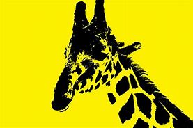 Image result for Cutest Giraffe