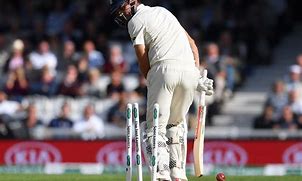 Image result for Cricket Bowld Out
