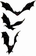 Image result for Bat Transparent PNG Logo