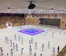 Image result for Okinawa Karate Kaikan