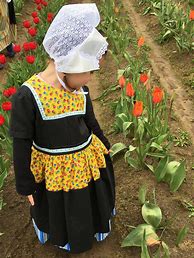 Image result for Dutch Costume