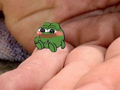 Image result for Chelsea Frog Meme
