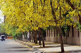 Image result for Islamabad 