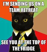 Image result for Business Cat Thank You