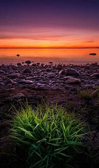Image result for Nature Wallpaper iPhone 8