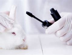 Image result for Animal Testing Hooks
