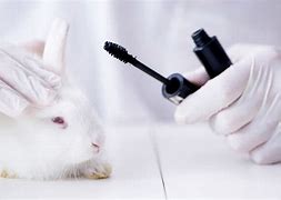 Image result for Magazine Covers Non Animals Testing Makeup