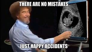 Image result for Happy Accident Meems