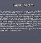 Image result for Kapot System