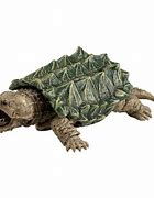 Image result for Snapping Turtle Toy