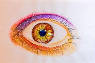 Image result for Eye Sketches