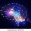 Image result for Universe Is a Brain
