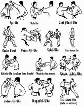 Image result for Basic Karate Punches