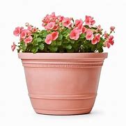 Image result for Dobla Flower Pot