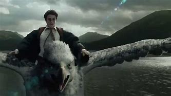 Image result for Harry Potter Buckbeak Flying