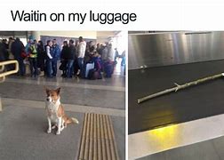 Image result for Funny Rescue Memes
