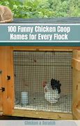 Image result for Funny Chicken Coops