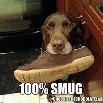 Image result for Smug Doge Meme