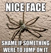 Image result for Scary Spider Meme