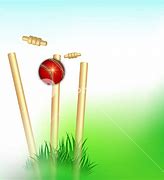 Image result for Cricket Banner Background