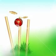 Image result for Grass Cricket Background