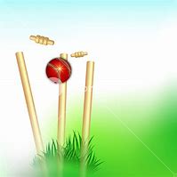 Image result for Cricket Graphics with Yellowish Background