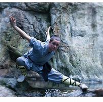 Image result for Kung Fu Poses