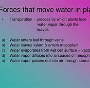 Image result for Water Exploding Upwards