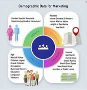 Image result for Demographic Profile Direction