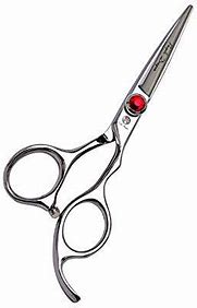 Image result for Purple Dragon Dog Grooming Scissors