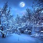 Image result for Snow Field Night